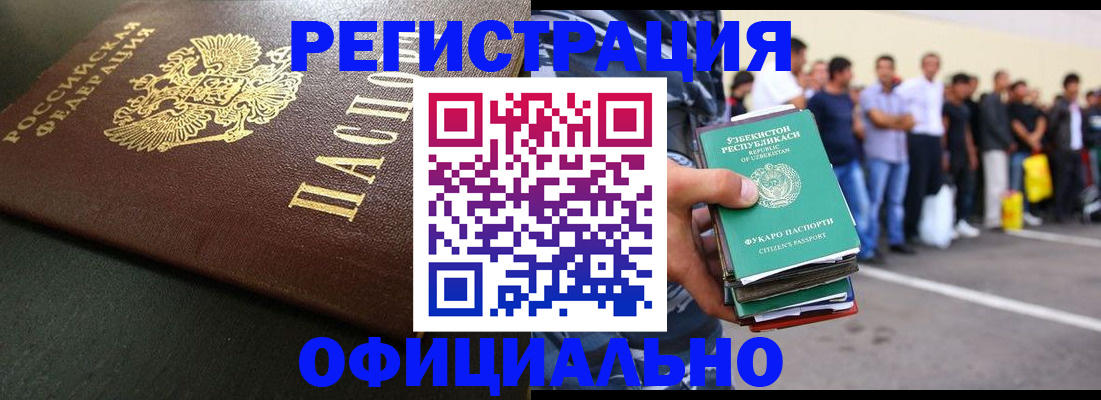 прописка 2025 в Чайковском